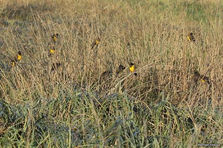 Por caminos de General Belgrano (junio 2018) Por caminos de General Belgrano (junio 2018)