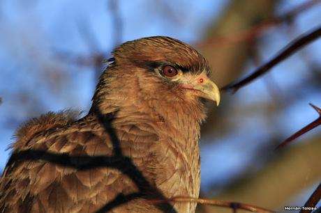 Por caminos de General Belgrano (junio 2018) Por caminos de General Belgrano (junio 2018)