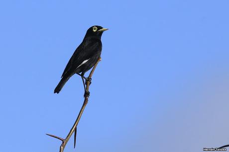 Por caminos de General Belgrano (junio 2018) Por caminos de General Belgrano (junio 2018)