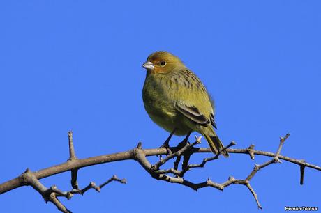 Por caminos de General Belgrano (junio 2018) Por caminos de General Belgrano (junio 2018)