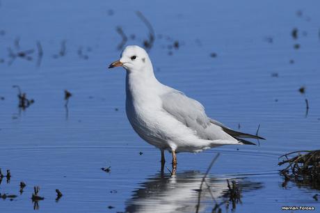 Por caminos de General Belgrano (junio 2018) Por caminos de General Belgrano (junio 2018)
