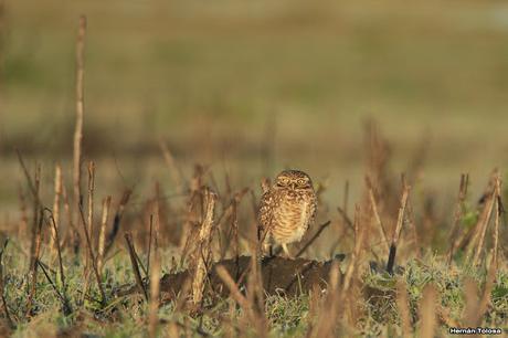 Por caminos de General Belgrano (junio 2018) Por caminos de General Belgrano (junio 2018)