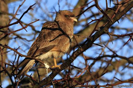 Por caminos de General Belgrano (junio 2018) Por caminos de General Belgrano (junio 2018)