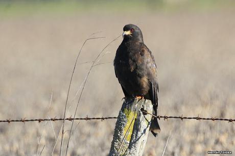 Por caminos de General Belgrano (junio 2018) Por caminos de General Belgrano (junio 2018)