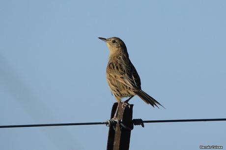 Por caminos de General Belgrano (junio 2018) Por caminos de General Belgrano (junio 2018)
