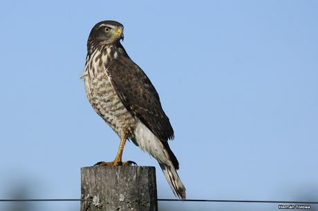 Por caminos de General Belgrano (junio 2018) Por caminos de General Belgrano (junio 2018)