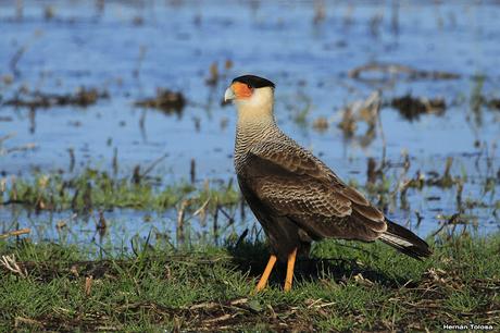 Por caminos de General Belgrano (junio 2018) Por caminos de General Belgrano (junio 2018)