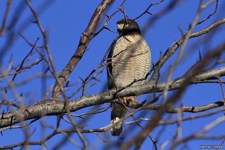 Por caminos de General Belgrano (junio 2018) Por caminos de General Belgrano (junio 2018)