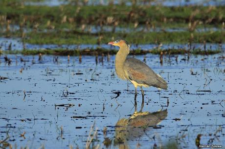 Por caminos de General Belgrano (junio 2018) Por caminos de General Belgrano (junio 2018)