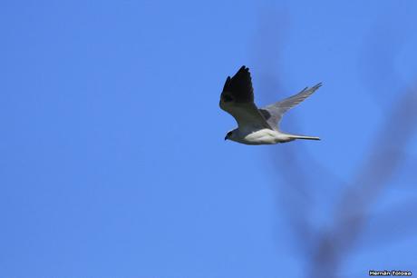 Por caminos de General Belgrano (junio 2018) Por caminos de General Belgrano (junio 2018)
