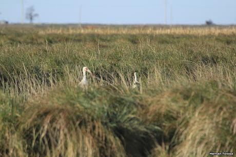 Por caminos de General Belgrano (junio 2018) Por caminos de General Belgrano (junio 2018)
