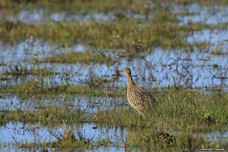 Por caminos de General Belgrano (junio 2018) Por caminos de General Belgrano (junio 2018)