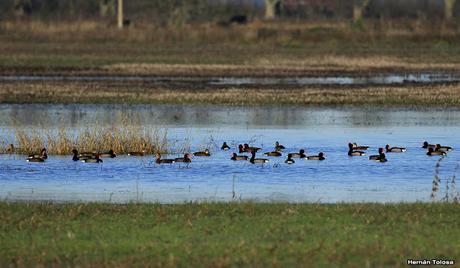 Por caminos de General Belgrano (junio 2018) Por caminos de General Belgrano (junio 2018)