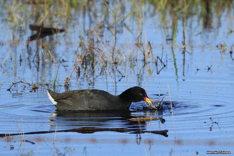 Por caminos de General Belgrano (junio 2018) Por caminos de General Belgrano (junio 2018)