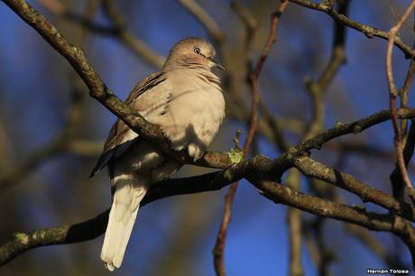 Por caminos de General Belgrano (junio 2018) Por caminos de General Belgrano (junio 2018)
