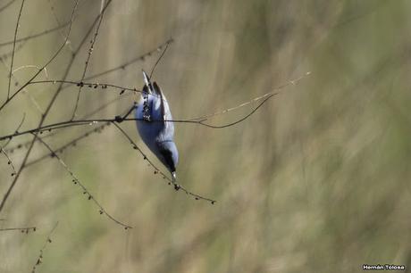 Por caminos de General Belgrano (junio 2018) Por caminos de General Belgrano (junio 2018)