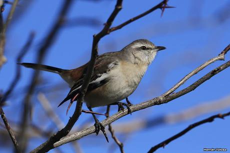 Por caminos de General Belgrano (junio 2018) Por caminos de General Belgrano (junio 2018)