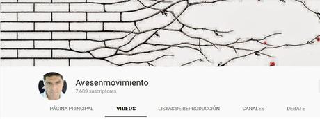 Canales de videos de aves argentinas recomendados