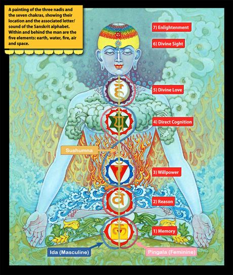 Ida, Pingala, Sushumna y los Shat-Chakras