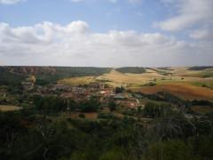 De alcornoques hablamos