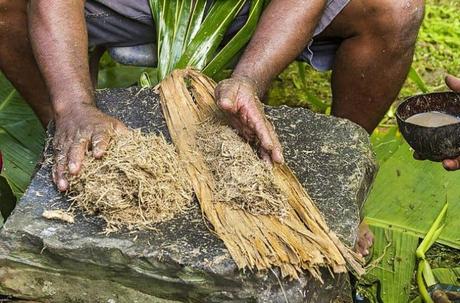 ¿Qué es Kava? Ventajas, uso seguro, y cómo hacer el té de la kava