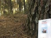 perturba ("Entre cielo tierra" Kalman Stefánsson)