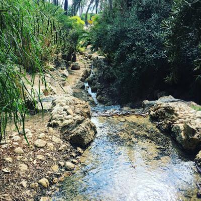 El Palmeral, Alicante, 