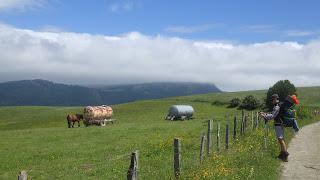 TRANSPIRENAICA GR11 ETAPA 2: SOROGAIN - HIRIBERRI/VILLANUEVA DE AEZKOA