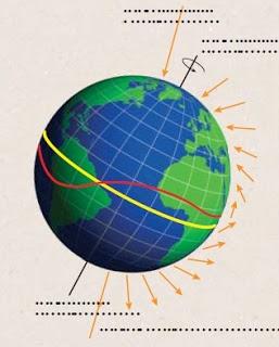 Papamoscas y magnetismo