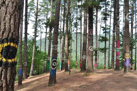 Escapada al Bosque de Oma. Un bosque encantado