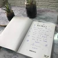 reseña del libro Koko, una aventura ecológica