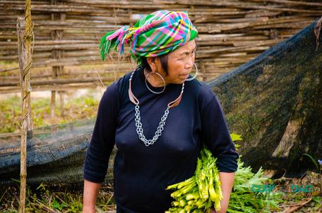 5 Cosas para Hacer en Sapa que hacer en sapa