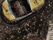 Suede: Presentan nuevo vídeo Life Golden