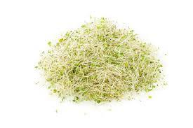 Brotes de Alfalfa, Germinados, Beneficios de los brotes de Alfalfa, Propiedades de los Brotes, Consejos de una alimentacion saludable, 