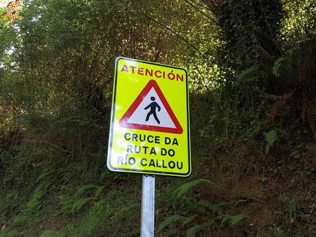 Ruta do Rego Callou - senderismo en Bergondo (A Coruña)