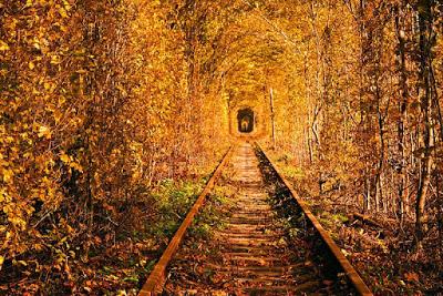 Túnel del amor (Ucrania): un lugar de leyenda.