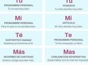Tilde diacrítica monosílabos #infografia #infographic #ortografía