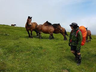 TRANSPIRENAICA GR11 ETAPA 3: HIRIBERRI - OCHAGAVÍA