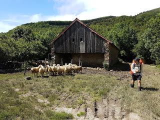 TRANSPIRENAICA GR11 ETAPA 3: HIRIBERRI - OCHAGAVÍA