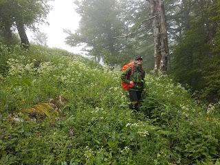 TRANSPIRENAICA GR11 ETAPA 3: HIRIBERRI - OCHAGAVÍA