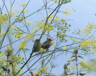 Preparándose para la vida