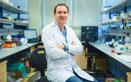 INVESTIGADORES DEL TECHNION USAN BACTERIAS DEL SUELO PARA COMBATIR INFECCIONES POR HONGOS