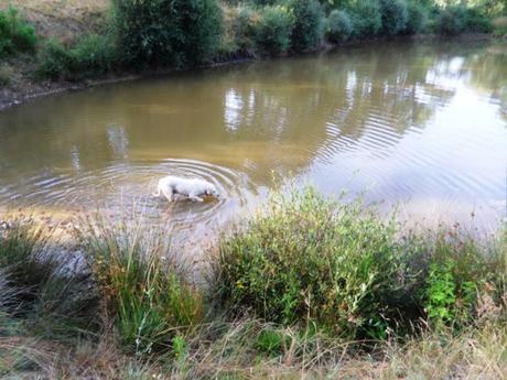 ENTRE ESPAÑA Y PORTUGAL: LA RAYA SIN FRONTERA