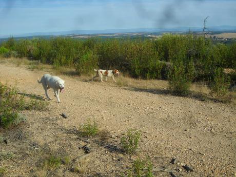 ENTRE ESPAÑA Y PORTUGAL: LA RAYA SIN FRONTERA