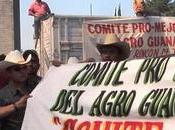 Minerva Cuevas, artista disidencia