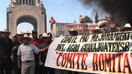 Minerva Cuevas, artista en disidencia