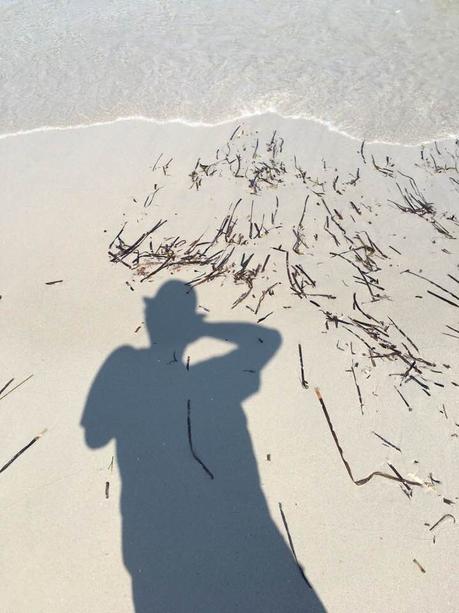 La imagen puede contener: exterior