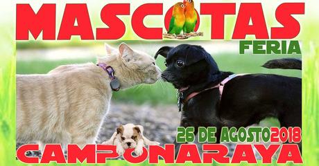 Planes para el fin de semana en Ponferrada y El Bierzo. 24 al 26 de agosto 2018