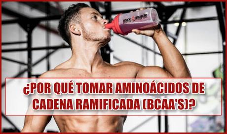 ¿Por qué tomar aminoácidos de cadena ramificada?