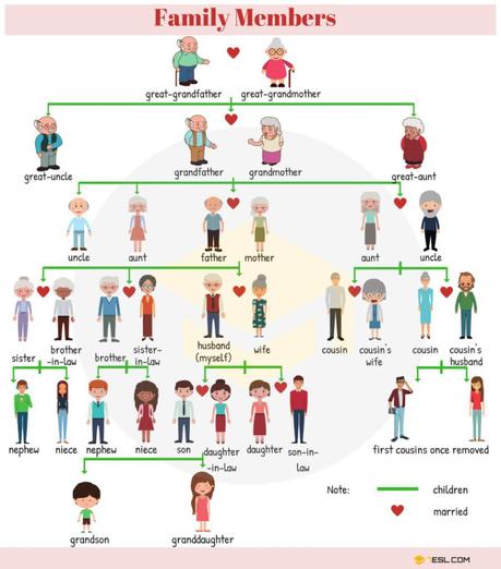 Aprende inglés: los miembros de la familia #infografia #infographic #education Aprende inglés: los miembros de la familia